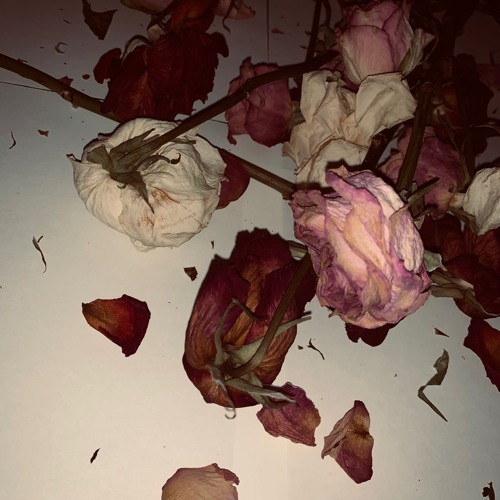 Ashes in the rain [Prod. SHADE08]