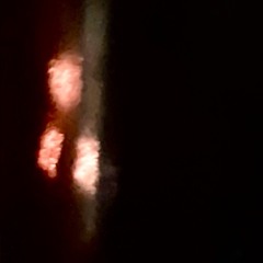 Night whispers