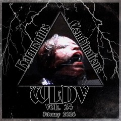 WLDV - Harmonious Combinations Vol.24 - Feb 2026