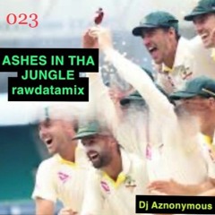 ASHES IN THE JUNGLE SESSION 023
