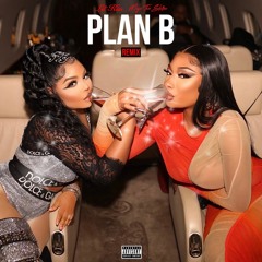 Megan Thee Stallion feat. Lil' Kim - Plan B [Remix]