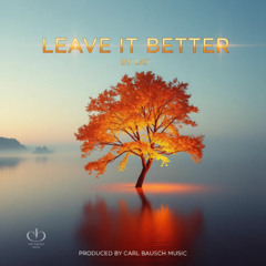 Leave it better