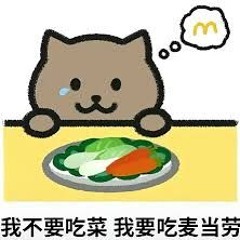 Fat Cat KOBAMA888 王宇宙Leto & 乔浚丞 - 若月亮没来