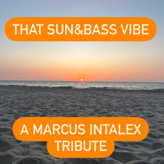 IMPACT "That Sun&Bass Vibe" (Marcus Intalex tribute)