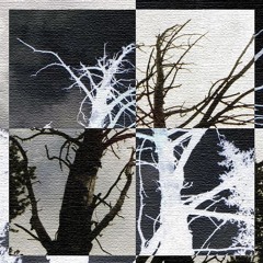 ༓˙˚˙༓ free soundkit2 "explorations" ༓˙˚˙༓