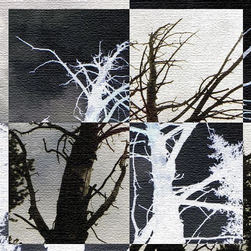 ༓˙˚˙༓ free soundkit2 "explorations" ༓˙˚˙༓