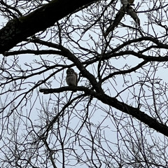 I Hope I’m Invited