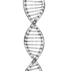 randers senil - gener