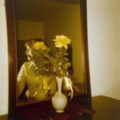 castlebeat - moonlight