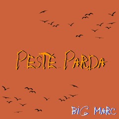 Big Marc - Peste parda (prod @andershawty)