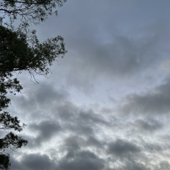 losing hope (ProdByEquinox)