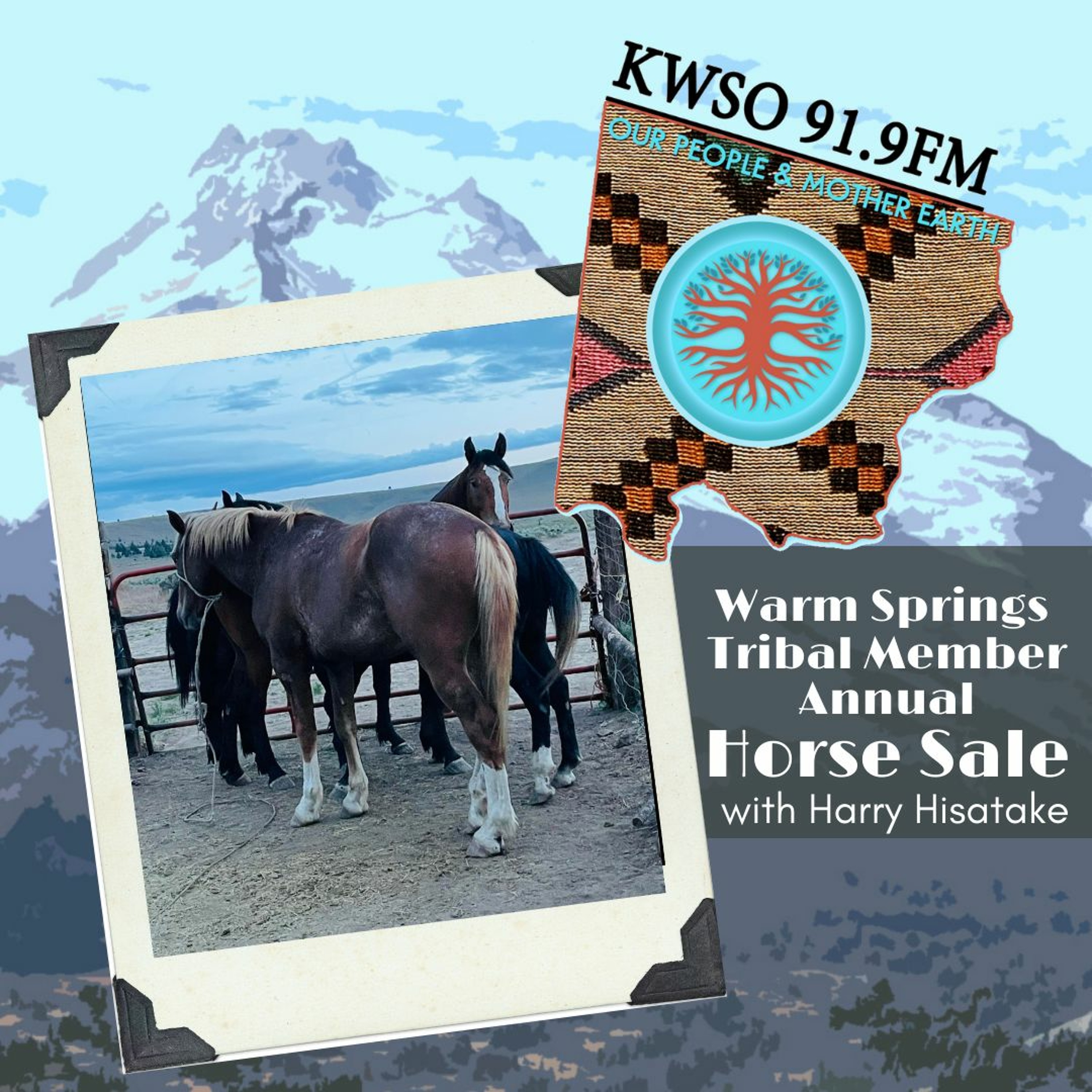 Tribal Member Annual Horse Sale - KWSO Our People & Mother Earth Podcast episode artwork