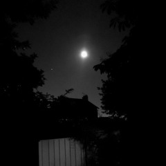 ‎THE MOONLIGHT (DEDICATED TO DJ PUSSY AND DJ PANZER)