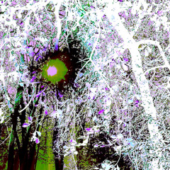 The Earth Seemed Unearthly