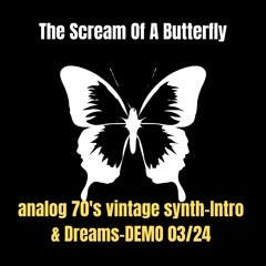never open this analog 70's vintage Intro & instrumental version of 'Dreams' [unmastered]
