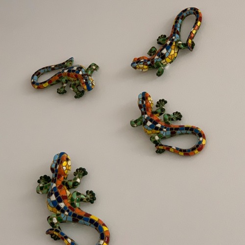 Lizards