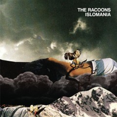 The Raccoons - Be My Television
