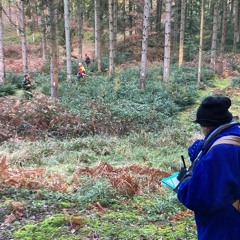 Martelage En Forêt De Sillé-Le-Guillaume Le 20 Janvier 2022