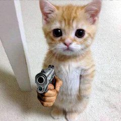 shoot