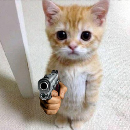 shoot