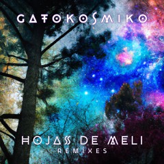 Gatokosmiko - Hojas de Meli Remixes