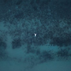 Adriano Koch - BRIEF