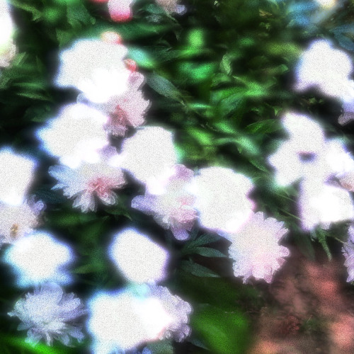 ALM+: Ambient