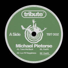Michael Pieterse - Feel It (Anil Aras' Bumpy 4x4 Remix) (Radio Edit)