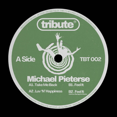 Michael Pieterse - Feel It (Anil Aras' Bumpy 4x4 Remix) (Radio Edit)