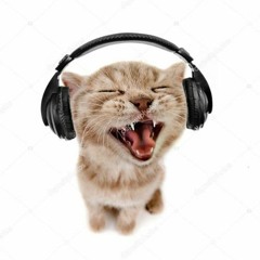 Cool songs i like