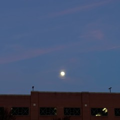 The Presence_LiveRecording_12062025.wav