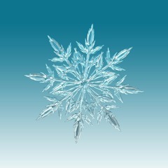 实修开示之二 - 窍决大圆满的禅修要点