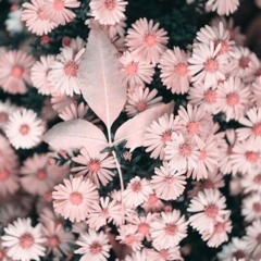 자신 없는데