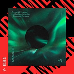 Premiere | Gorkiz, K Loveski - Echos Of Eons (Original Mix) [Transensations]