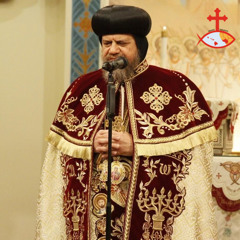 H.E. Metropolitan Serapion - Comment On The Vatican Permission Of Blessing The Same Sex Marriage