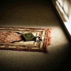 تلاوة عذبة من سورة المائدة للقارئ سعيد محمد صالح