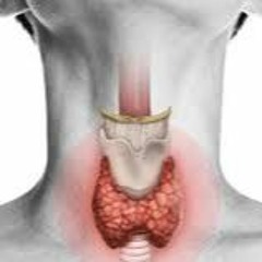 Thyroid Gland Project