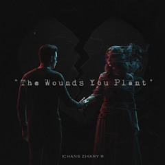The Wounds You Plant