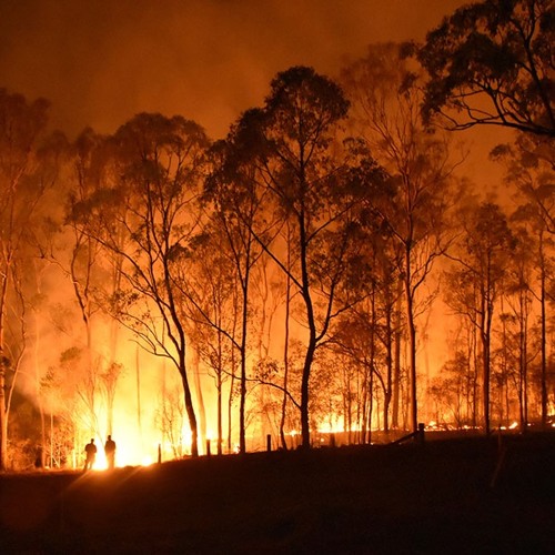 ABC Radio Sunday Afternoon with Nat Larkins - Corey Bradshaw Climate Change Interview