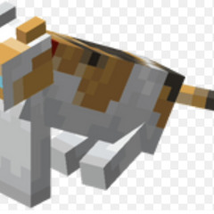 minecraft rmx