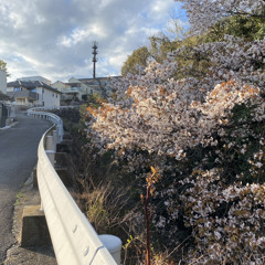 ながい夜 雰囲気