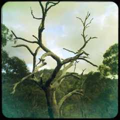 songbird
