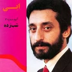 شب زده