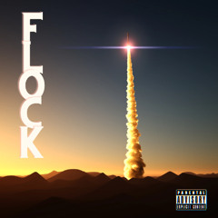 FLOCK