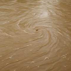Muddier