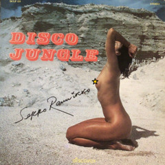 KOSMOS FESTIVAL 2025 (FINNISH GROOVES 1970 - 2020) VINYL SET 12.7.2025