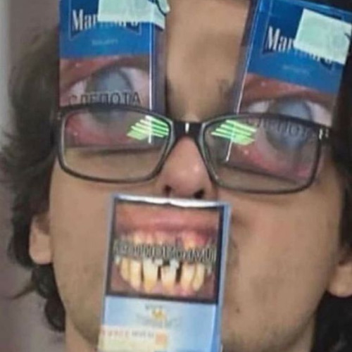 fool (2022)