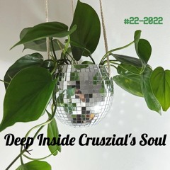Deep Inside Cruszial's Soul #22 - 2022