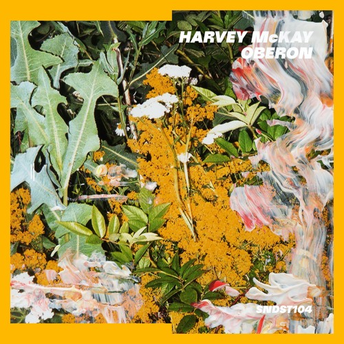 Harvey McKay - Midnight
