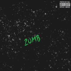 ZOMBIE INTRO